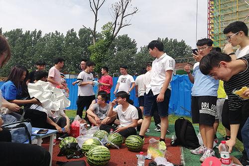 全民吃瓜活动,共享欢乐时光