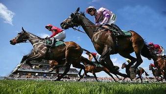 赛马吃瓜视频,一场趣味横生的视觉盛宴