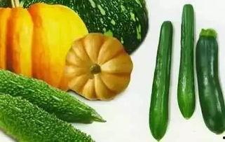 沈倦吃瓜,揭秘娱乐圈背后的那些事儿