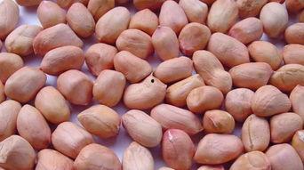 梦见吃瓜孑花生