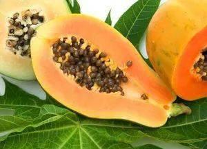 瓜吃地瓜,共享田园美味