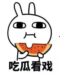 吃瓜优盘啥意思,网络热词背后的趣味与内涵