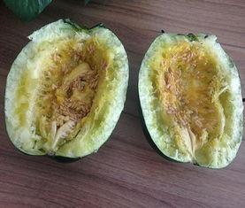 以前吃过现在吃瓜,从往昔美食到当下瓜果的味蕾之旅