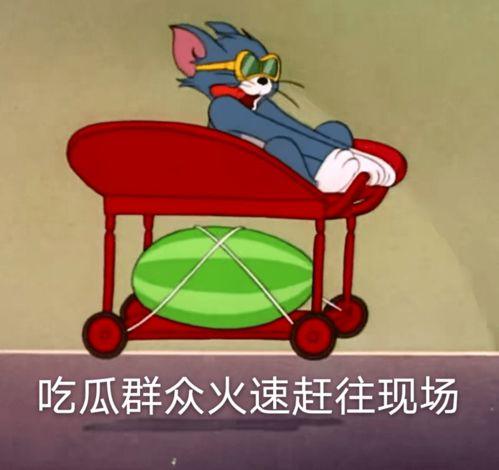 拯救不开心吃瓜,轻松愉悦的日常小确幸