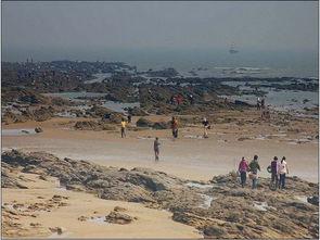 日照海滩吃瓜事件,一场意外的网络狂欢与反思