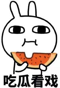 打架吃瓜新闻,一场打架事件背后的吃瓜众生相