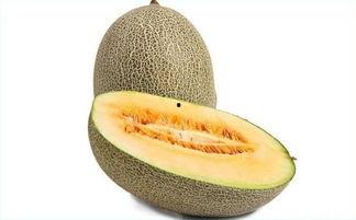 吃哈密瓜哭,揭秘吃瓜时的奇妙情感之旅