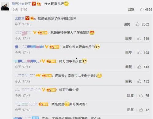 吃瓜在评论区,揭秘娱乐圈幕后真相