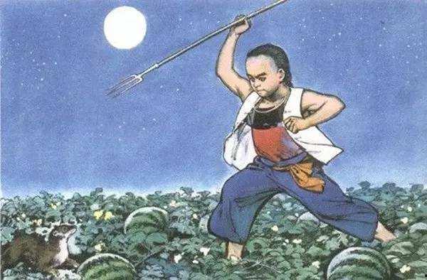 吃瓜大妈和猹,一场意外的乡村奇遇