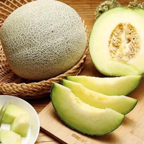 朵朵吃蜜瓜,朵朵甜蜜蜜瓜之旅