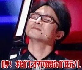 汪峰吃瓜表情包,揭秘娱乐圈的“瓜田”趣事