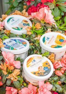 吃瓜直播吃贡菜,吃瓜群众围观吃贡菜，美食直播新潮流