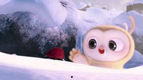 搞笑吃瓜比赛视频