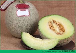 十哈密瓜吃哈,一场味蕾的奇幻之旅