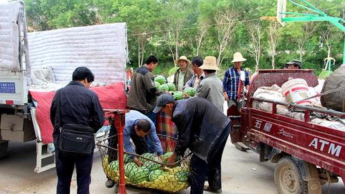 永年河北部吃瓜群众