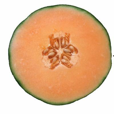 1周小孩吃哈密瓜