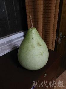想吃瓜吃自家的瓜