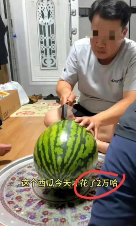 吃瓜直播大全,揭秘网络红人的幕后故事